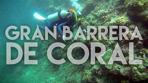  Vértigo de Coral: ¡Descubre la danza submarina de las estrellas vivas!