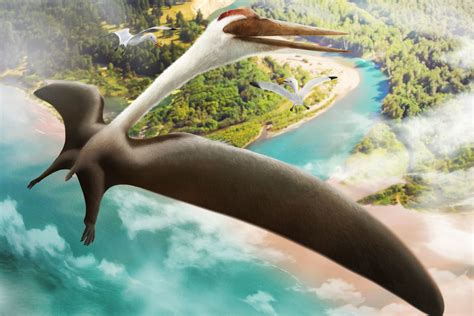  ¿Qué es un Quetzalcoatlus y cómo se movía este gigante de los cielos prehistóricos?